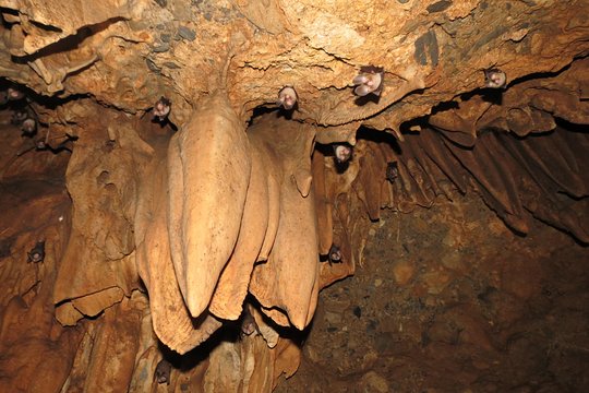 Tour image 3