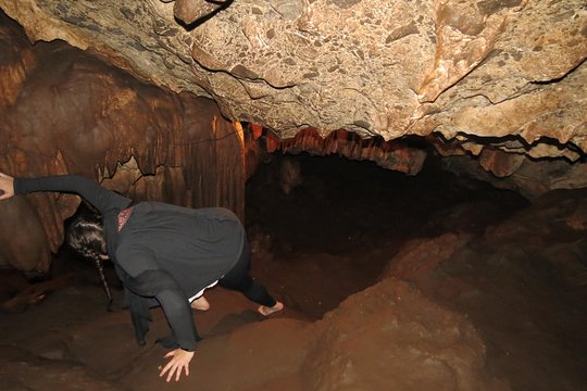 Tour image 4