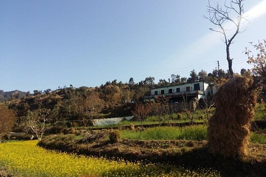 Tour image 1