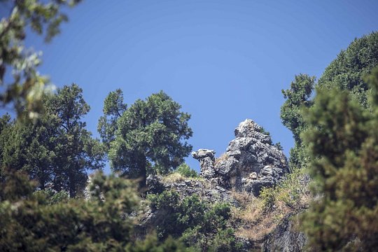 Tour image 6