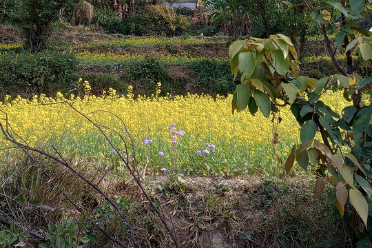 Tour image 7