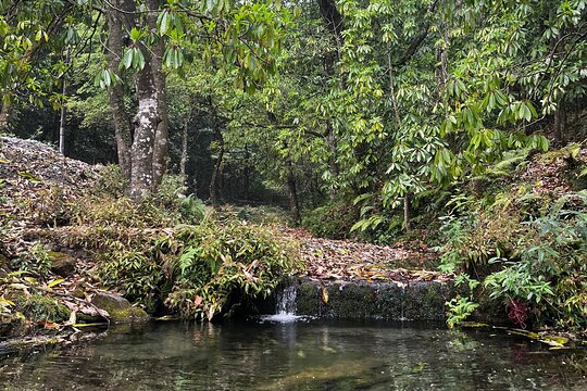 Tour image 11